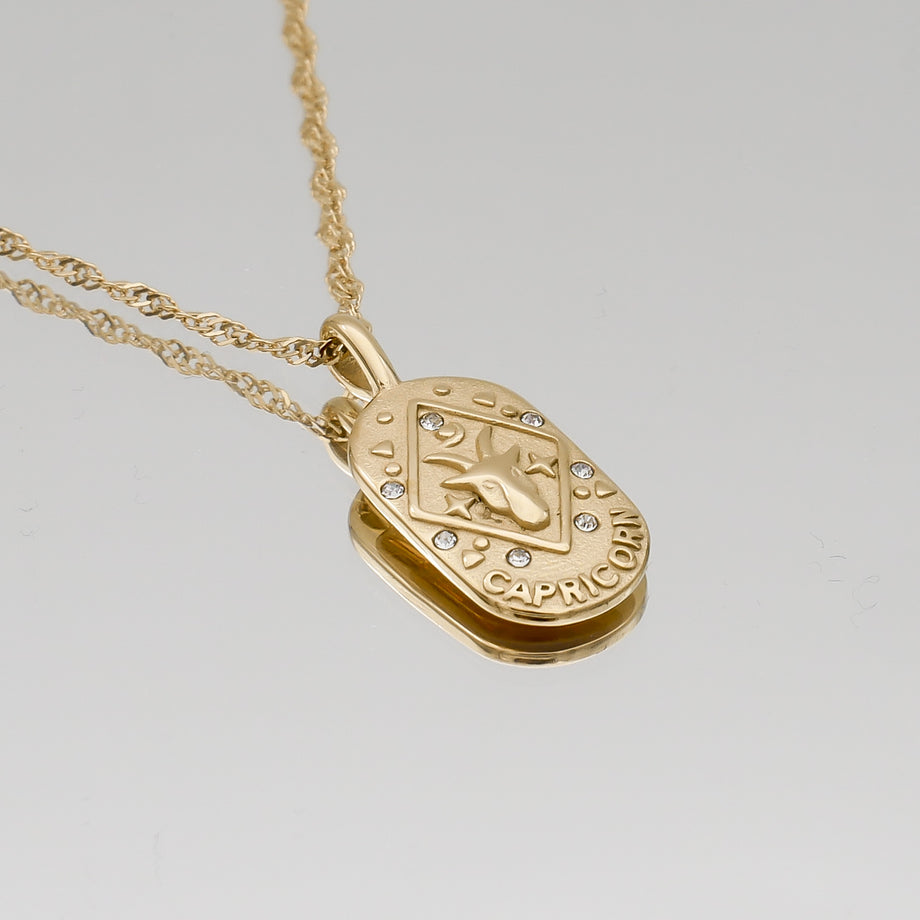 Capricorn Zodiac Tarot Card Necklace