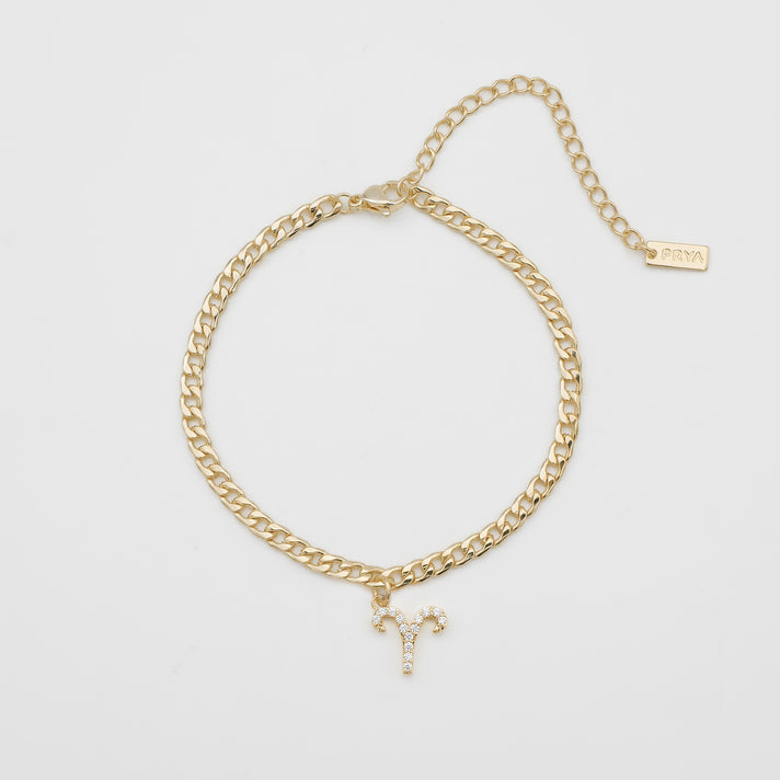 ICY Zodiac Symbol Anklet