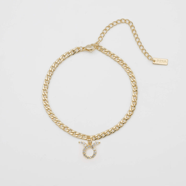ICY Zodiac Symbol Anklet