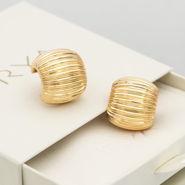 raisa gold earrings in prya packaging 