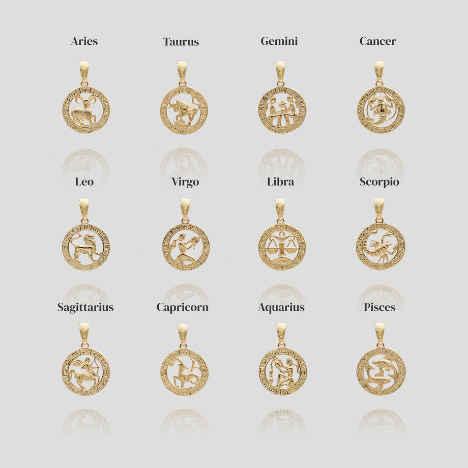 image all the zodiac signs from our Zodiac necklace from prya