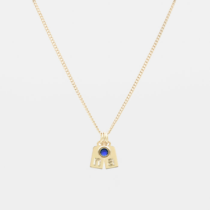 Sloane Initial Tag Necklace