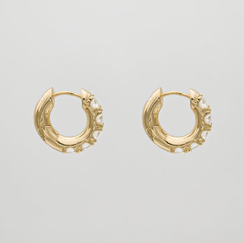 Amery CZ Earrings