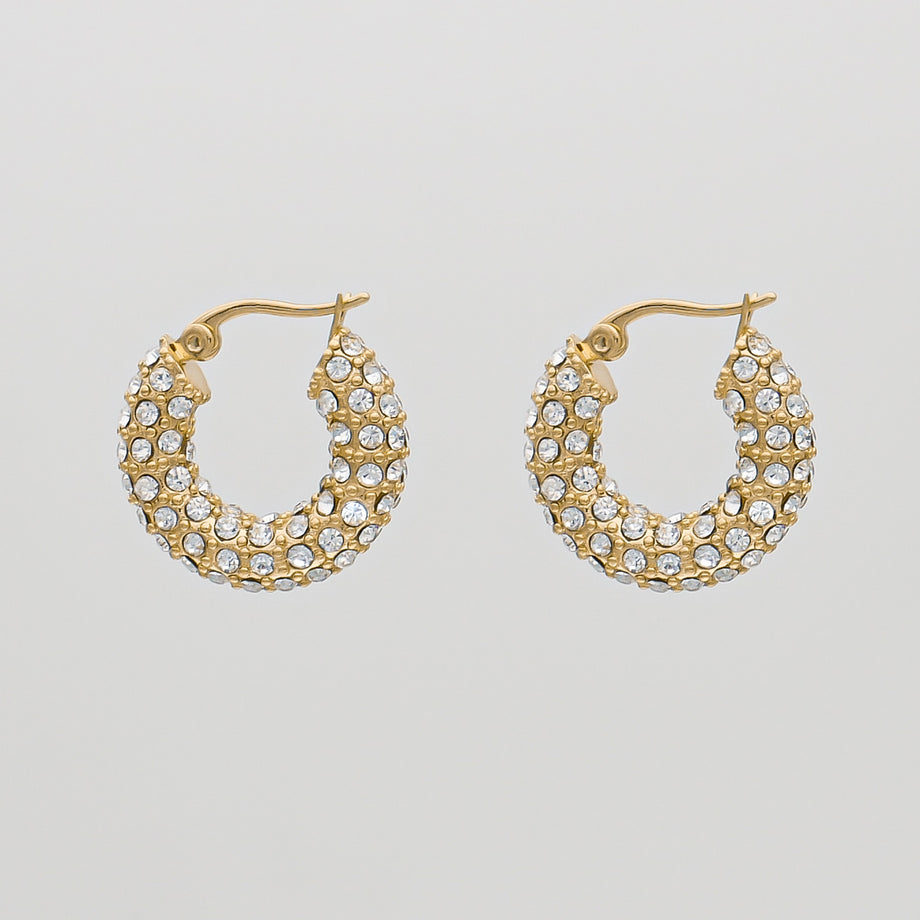 Gold hoop earrings with sparkling crystals.