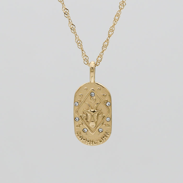 Capricorn Zodiac Tarot Card Necklace 