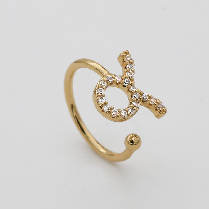 ICY Zodiac Ring