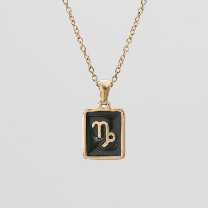 Onyx Zodiac Symbol Necklace