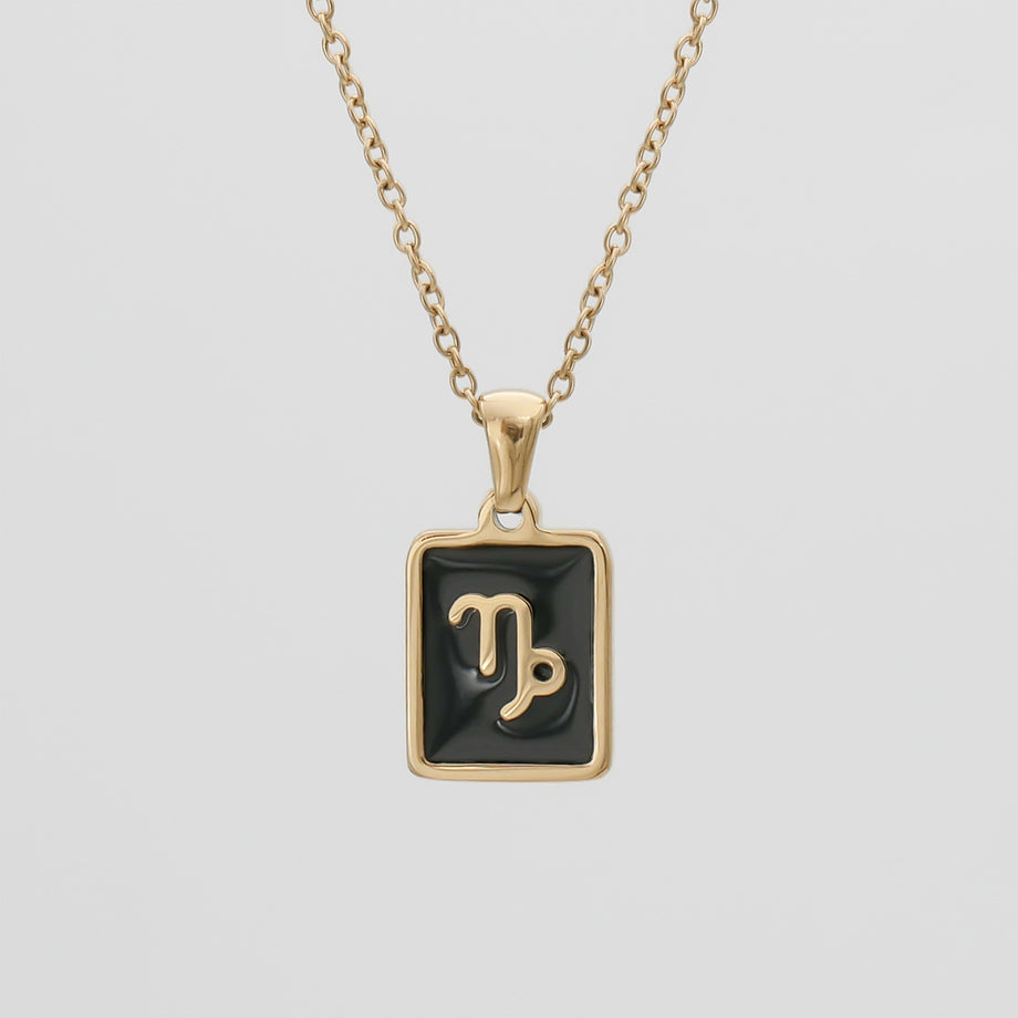 Onyx Zodiac Symbol Necklace