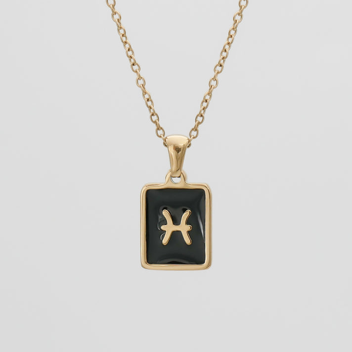 Onyx Zodiac Symbol Necklace