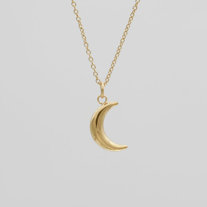 Mini Crescent Moon Necklace, Gold | PRYA