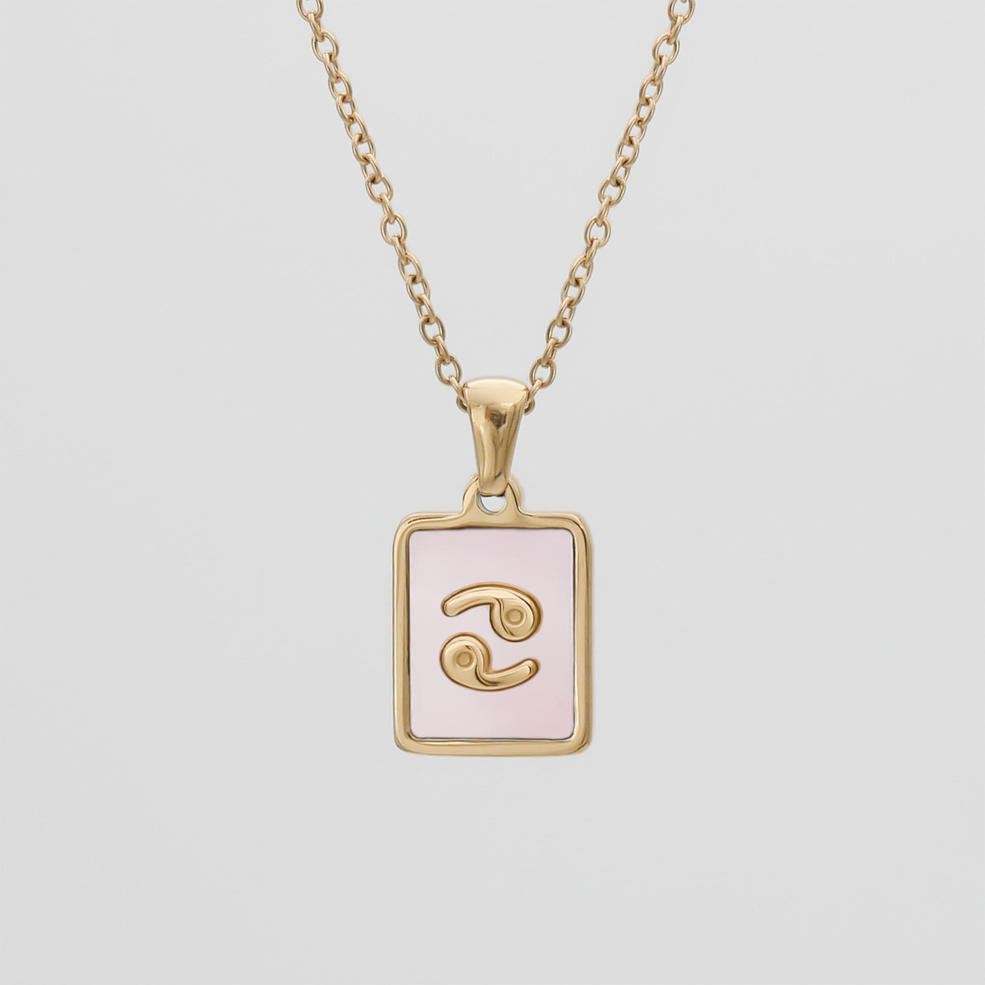 Pink Zodiac Symbol Necklace