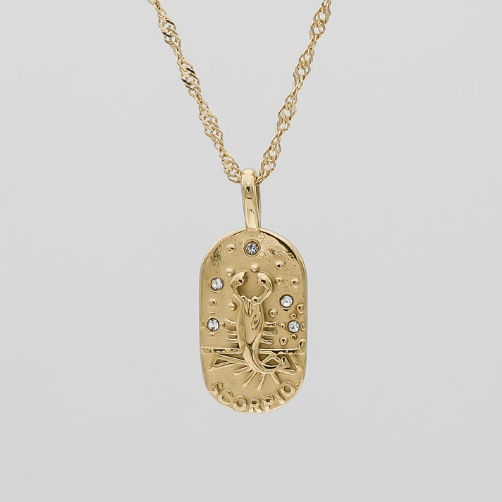 Scorpio Zodiac Tarot Card Necklace 